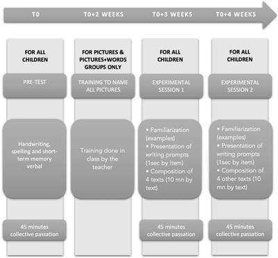 Facilitating Text Production in Fourth Graders: Effects of Script-Based Knowledge and Writing Prompts